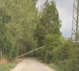 Sturmschaden in der Steinhofstraße