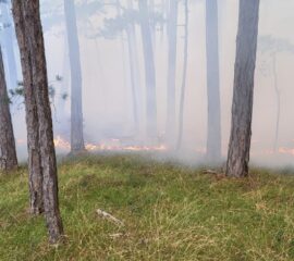 Waldbrand am 23.07.2024