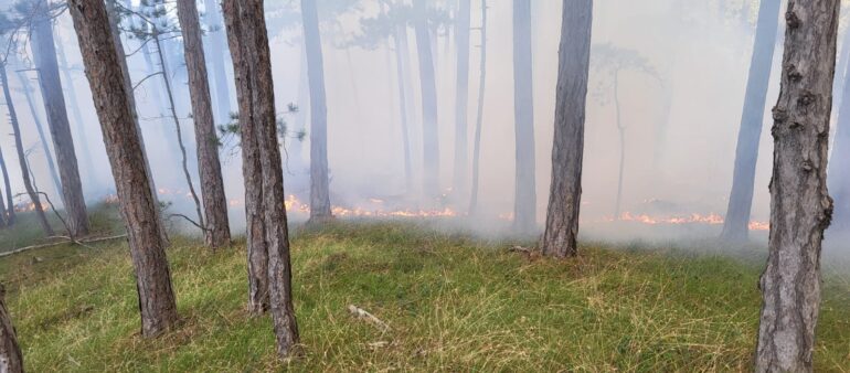 Waldbrand am 23.07.2024
